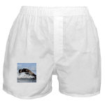 Baby Seal Watercolor Boxer Shorts by NANCE